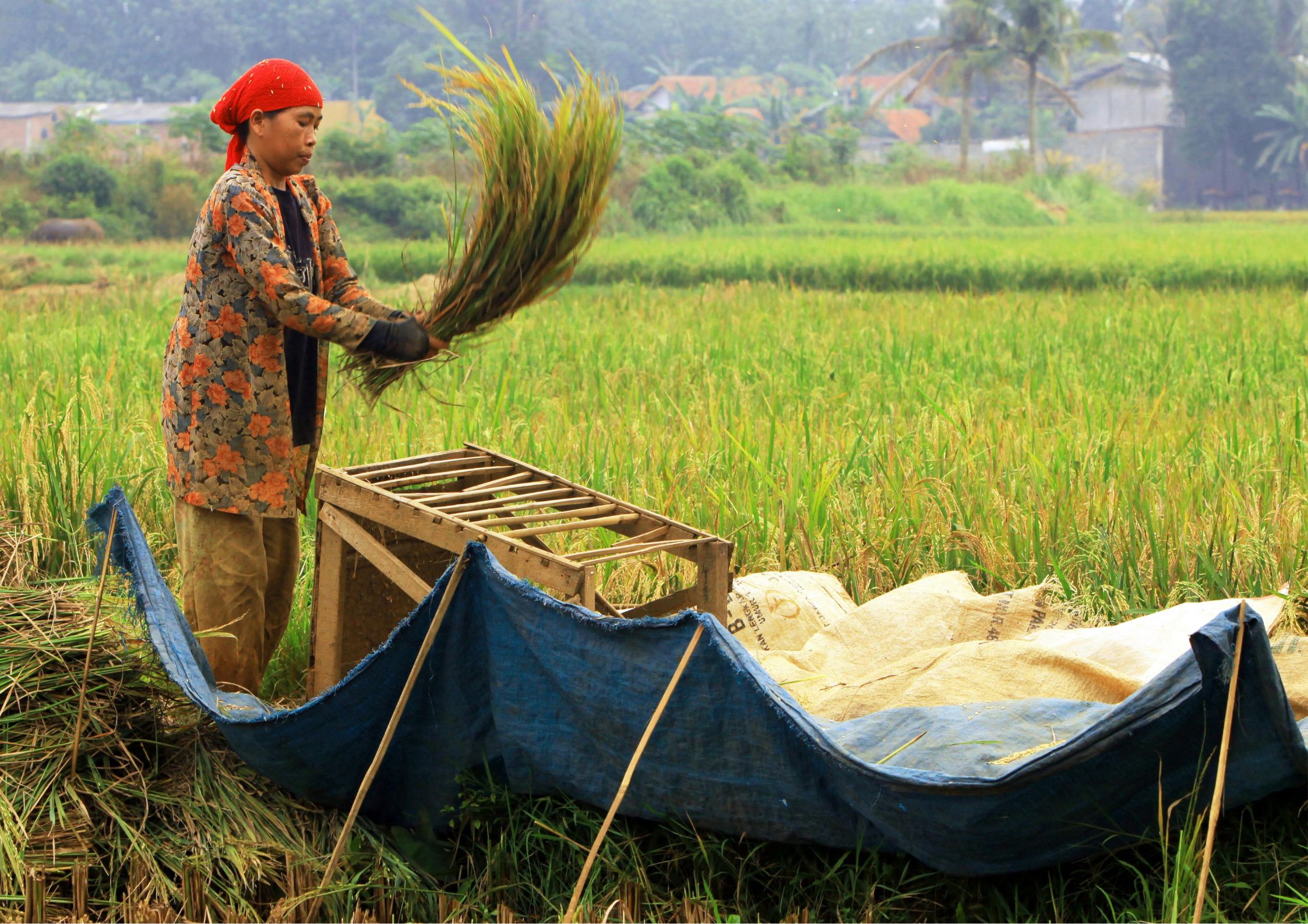 Gambar Artikel